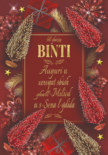 Picture of LILL-GHAZIZA BINTI AWGURI KARTOLINA